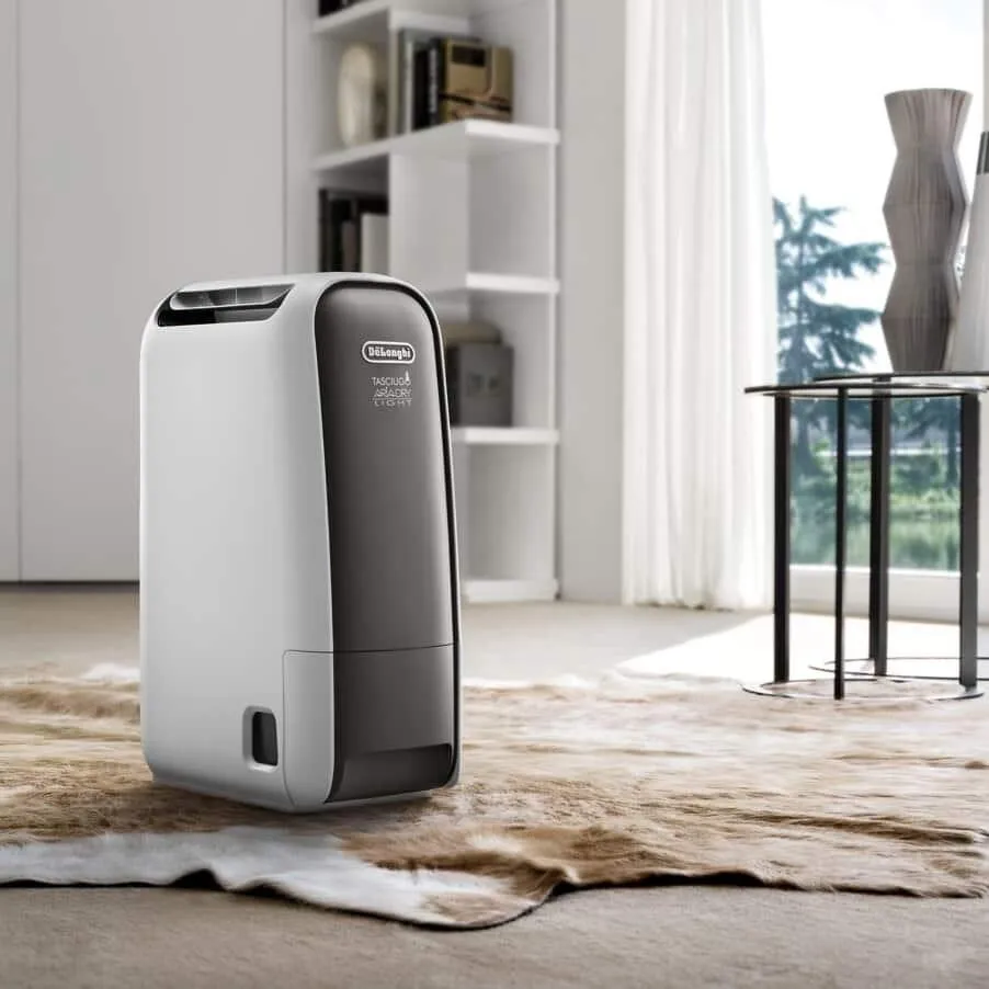 Осушитель воздуха De'Longhi Tasciugo AriaDry Light DNS65
