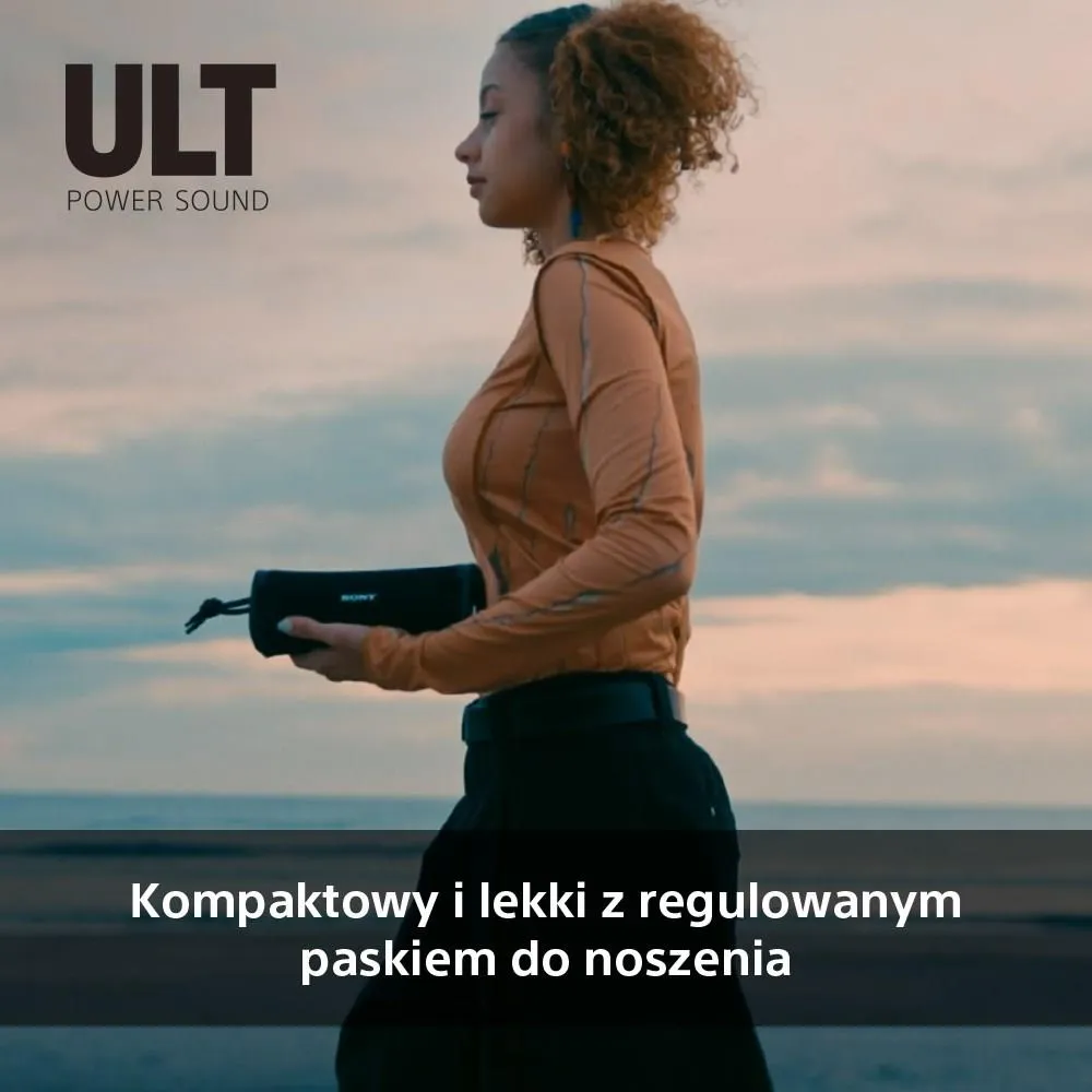 Портативная колонка Sony ULT FIELD 1 SRS-ULT10H серый
