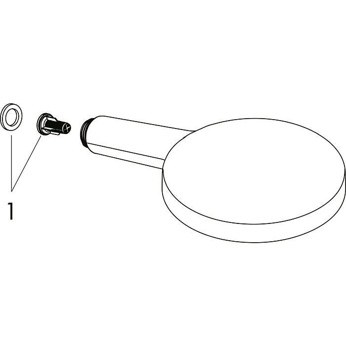 Душевая лейка Hansgrohe Raindance Select черный матовый (26530670GS)