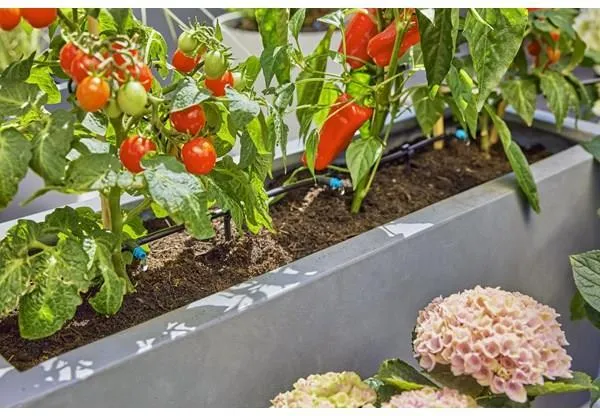 Система капельного полива Gardena Micro-Drip Terrace