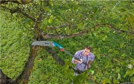 Ручная садовая пила Gardena 300 PP с штангой 5 м