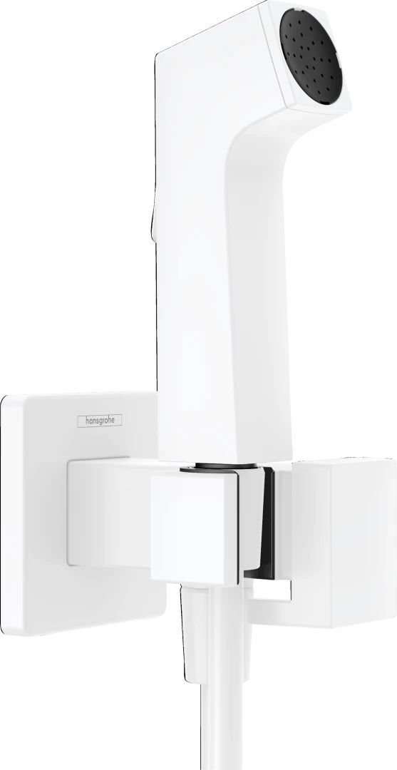 Ручной душ Hansgrohe 1Jet E Ecosmart 29233700