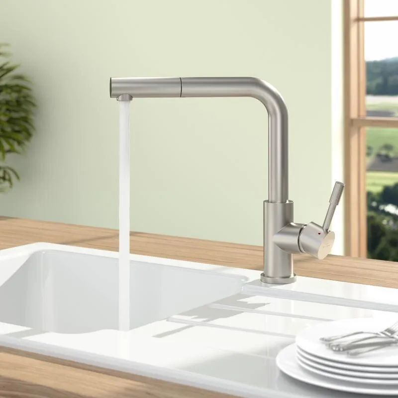 Однорычажный смеситель для кухни Villeroy & Boch Steel Shower 969711LC
