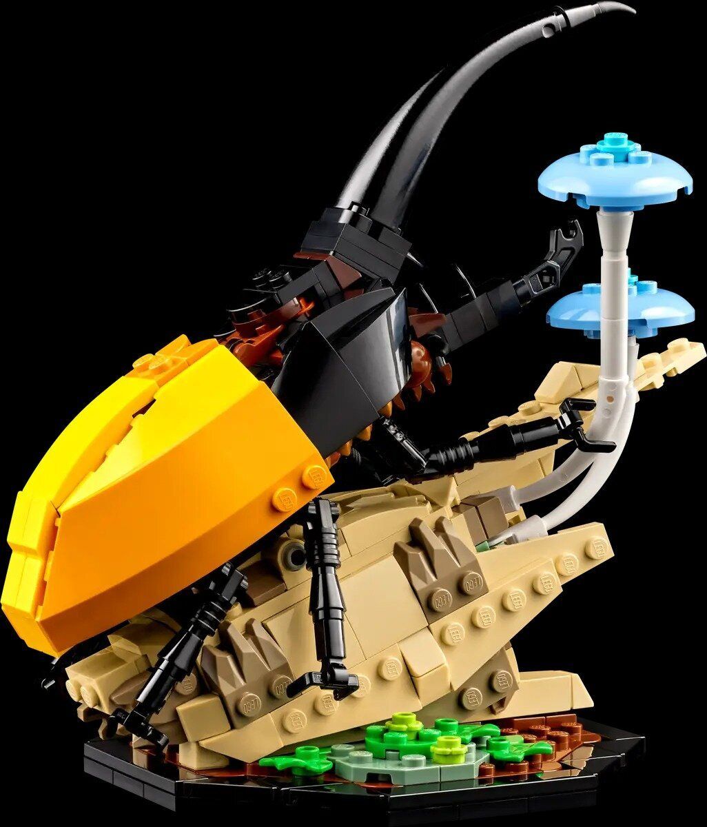 LEGO Ideas 21342 - Коллекция насекомых
