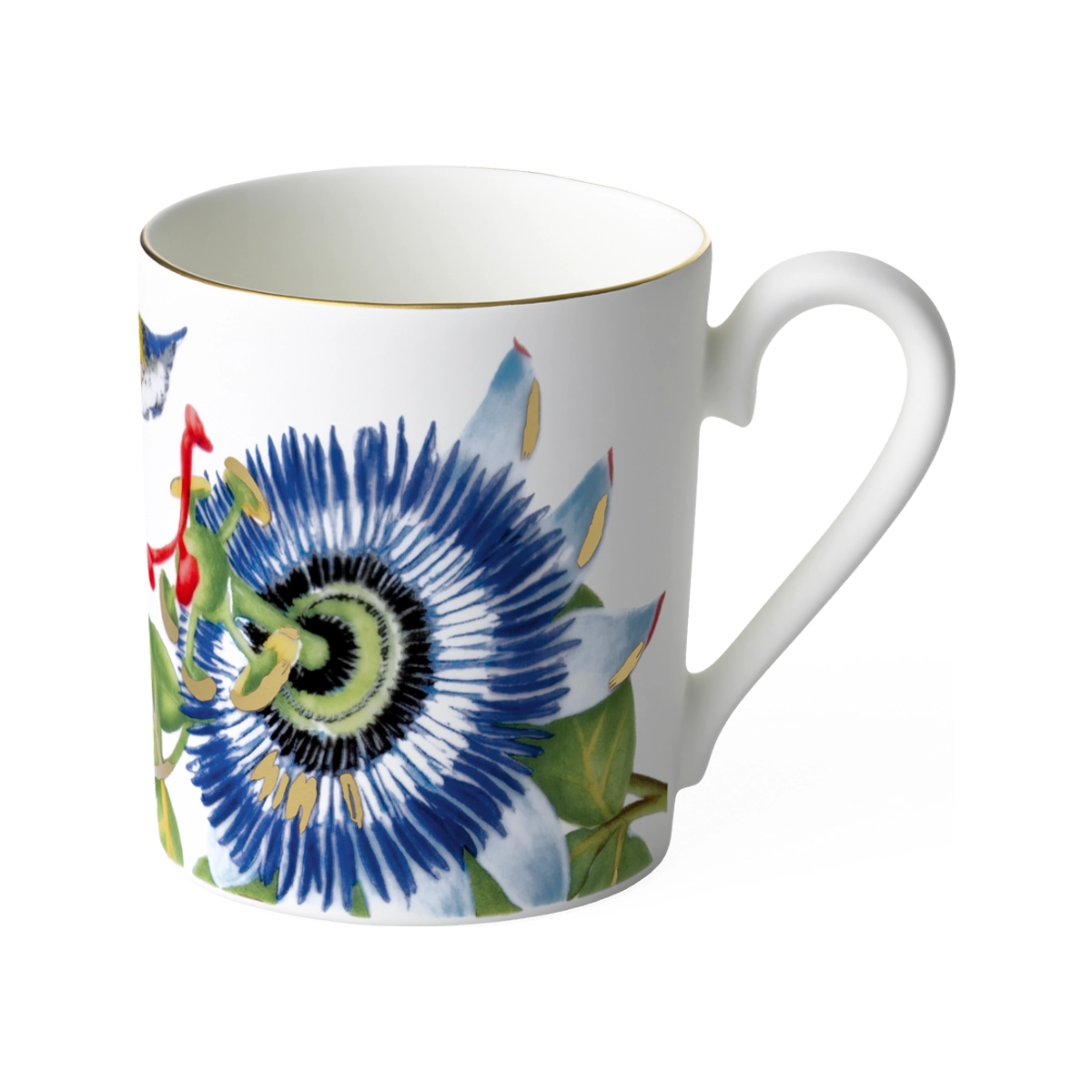 Кружка Villeroy & Boch Amazonia 1035149651