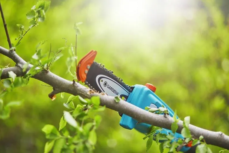 Аккумуляторные ножницы Gardena TCS 20/18V P4A (14770-55)
