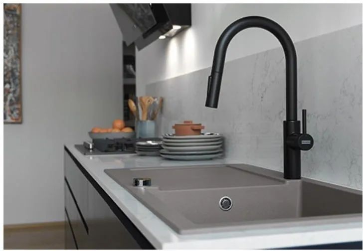 Кухонный кран Franke Pescara L slide-in spray 115.0575.968, черный матовый