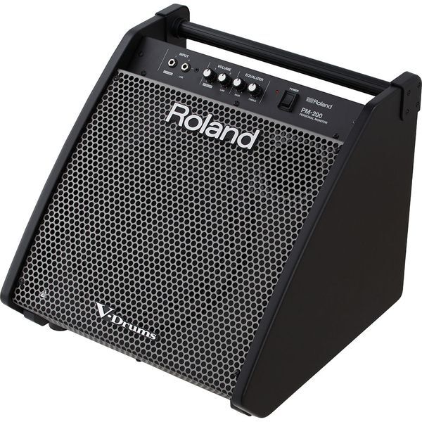 ROLAND PM-100 Сценический монитор