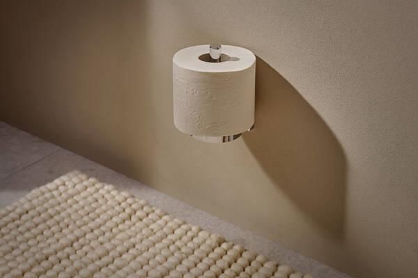 Запасной держатель для туалетной бумаги Hansgrohe AddStoris S 41786000