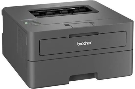 Монохромный лазерный принтер Brother HL-L2400DWE