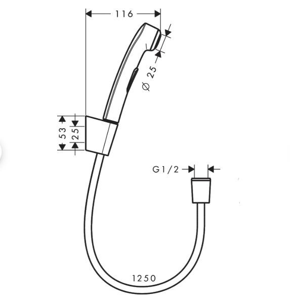 Душевая лейка Hansgrohe Bidette 1 Jet 32129300 хром