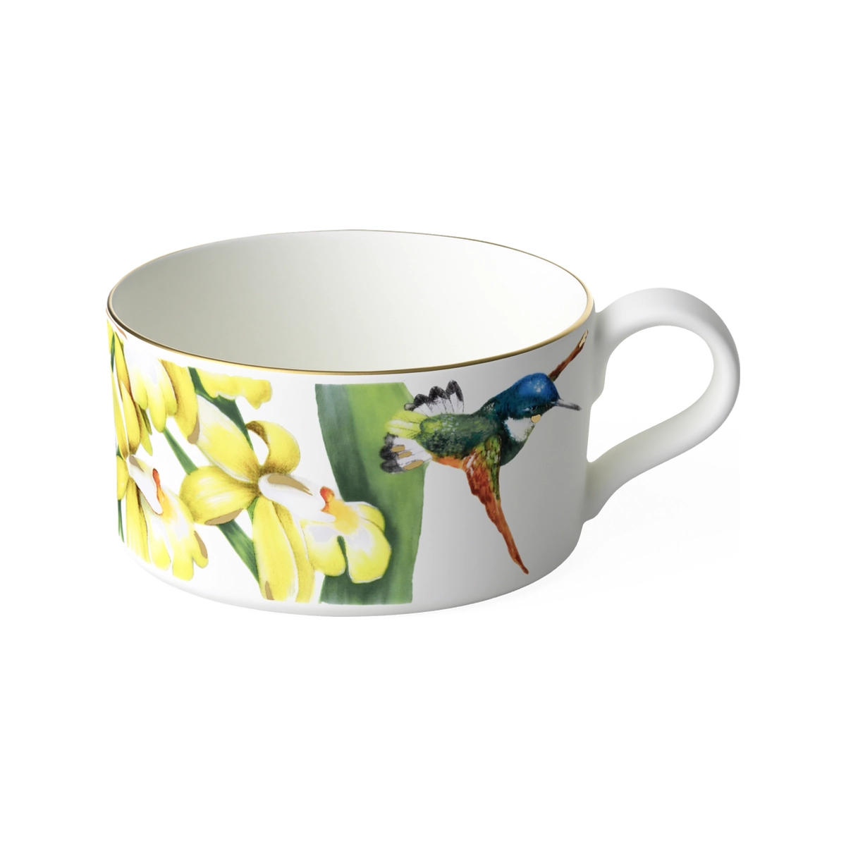 Чашка Villeroy & Boch Amazonia 1035141270
