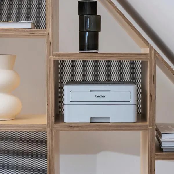 Монохромный лазерный принтер Brother HL-L2865DW