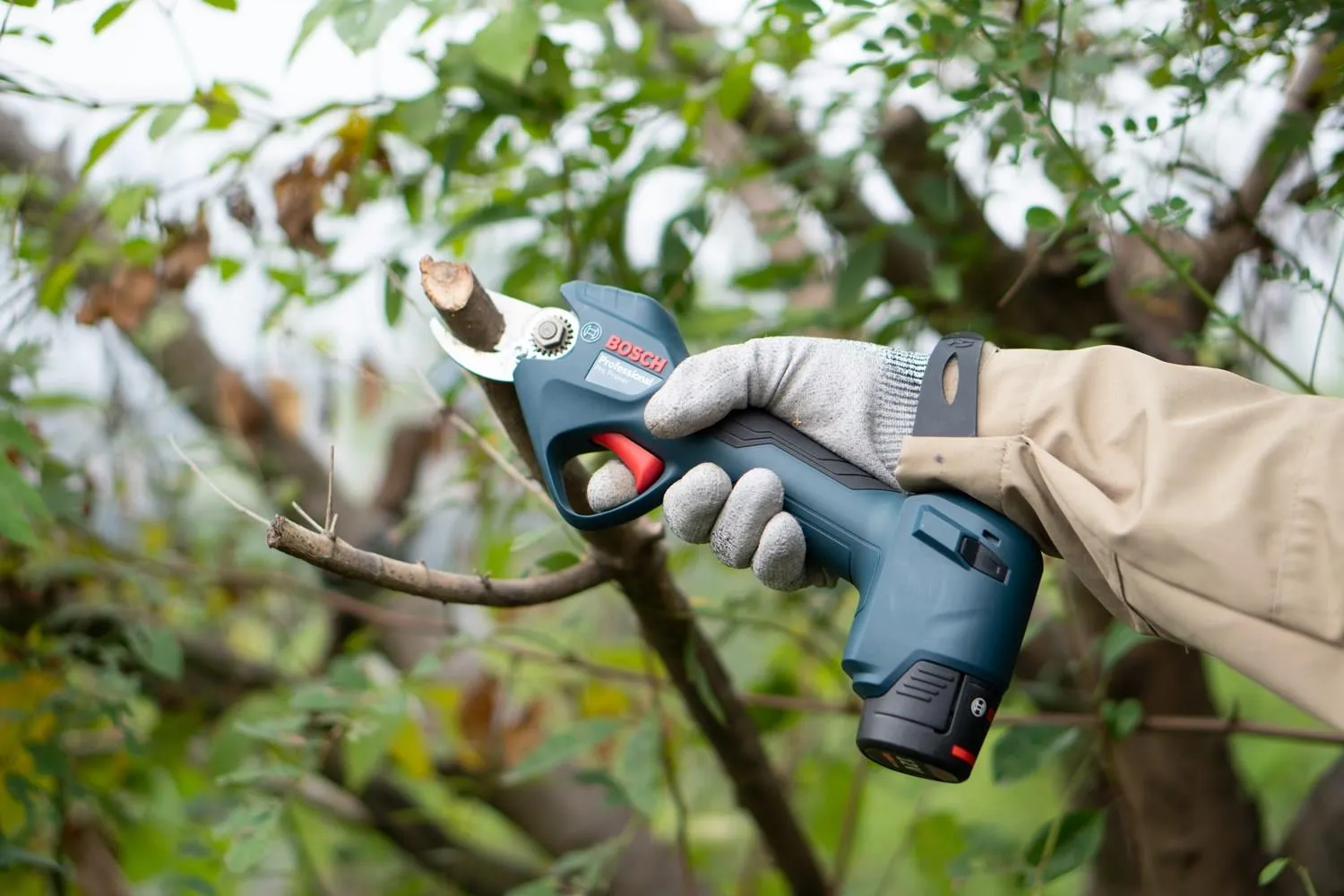 Аккумуляторный секатор Bosch Pro Pruner Professional 06019K1021
