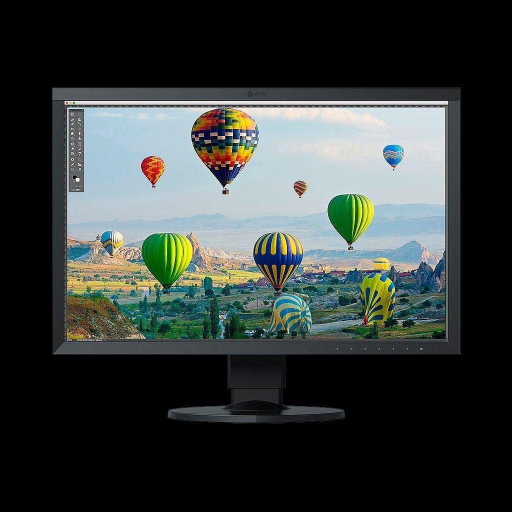 24.1" Монитор Eizo CS2410, 1920x1200, 61 Гц, AH-IPS, черный