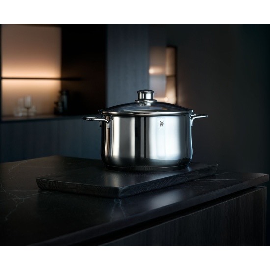 Кастрюля WMF Diadem Plus 20 см, 3,7л (0734216040)