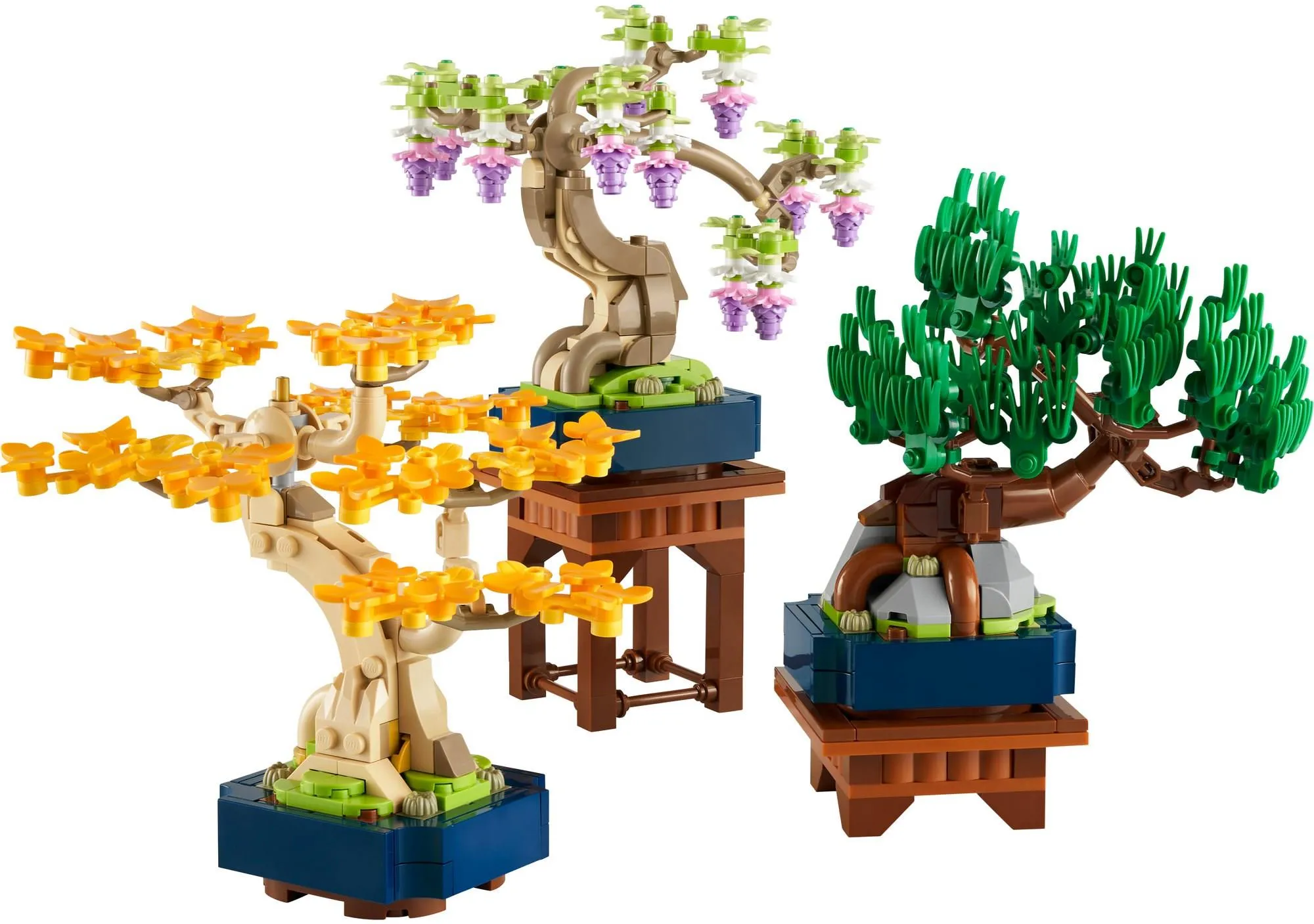 LEGO Botanicals 10373