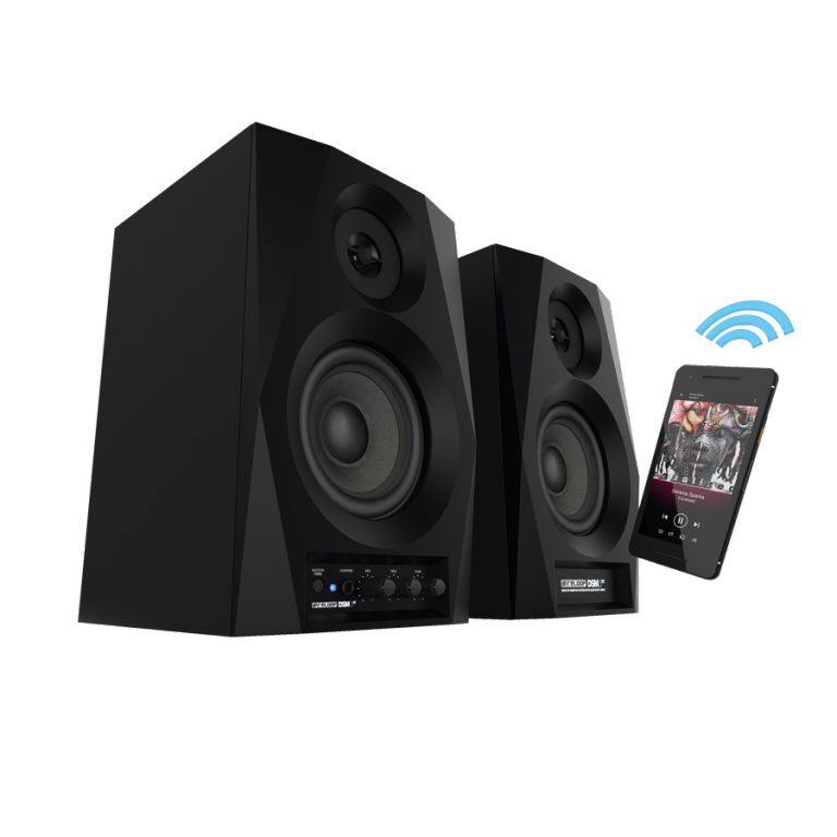 Акустическая система Reloop DSM-3 BT