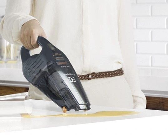 Бытовой пылесос Electrolux ZB6106WDB