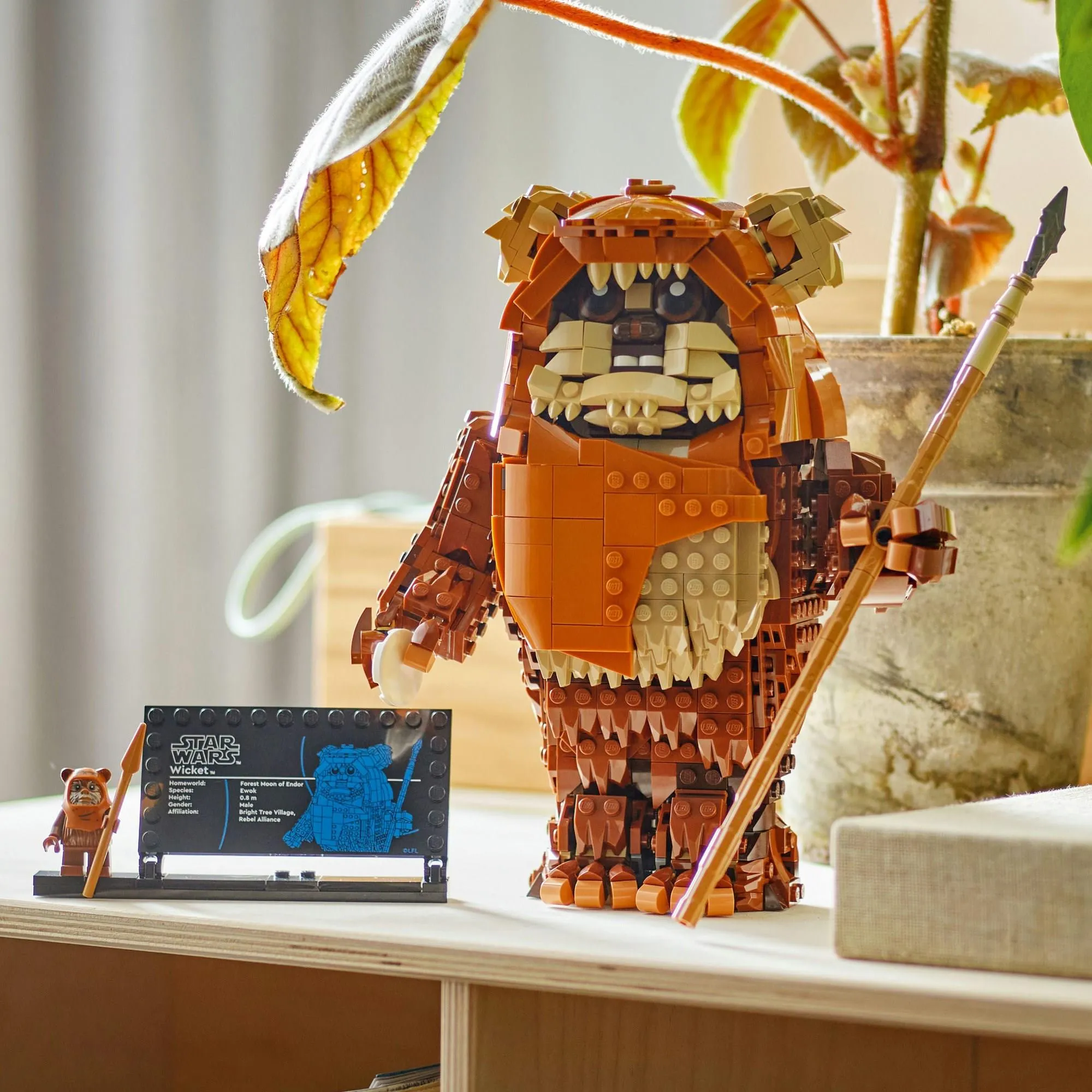 Конструктор LEGO Star Wars 75430 Эвок Викет
