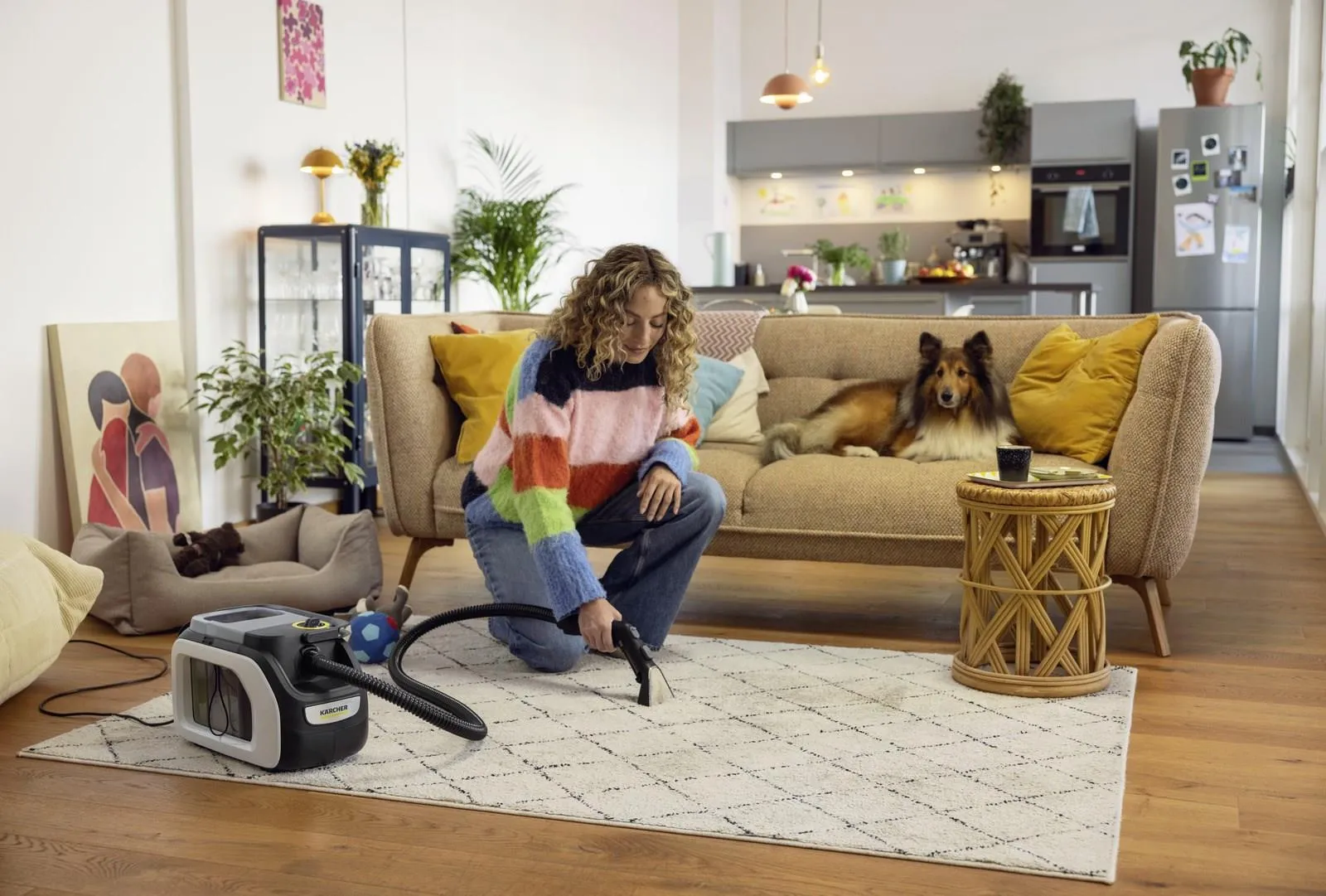 Пароочиститель KARCHER SE 3 Compact Home N1 1.081-539.0