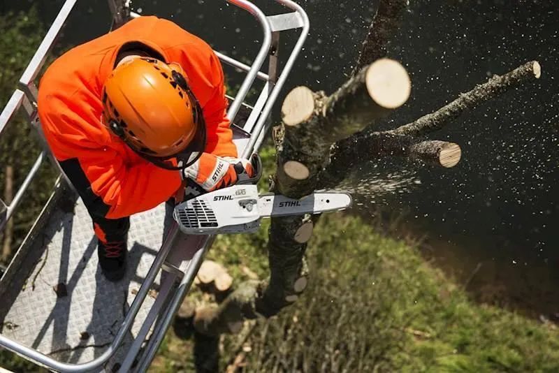 Бензопила STIHL MS 194 T 11372000319