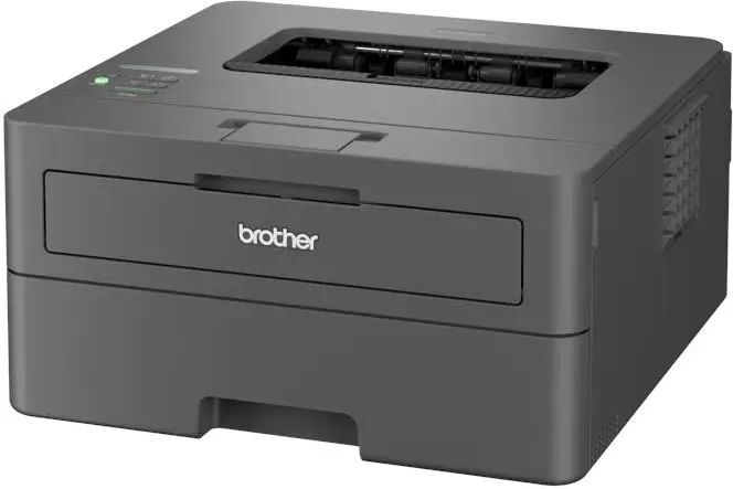 Монохромный лазерный принтер Brother HL-L2400DW