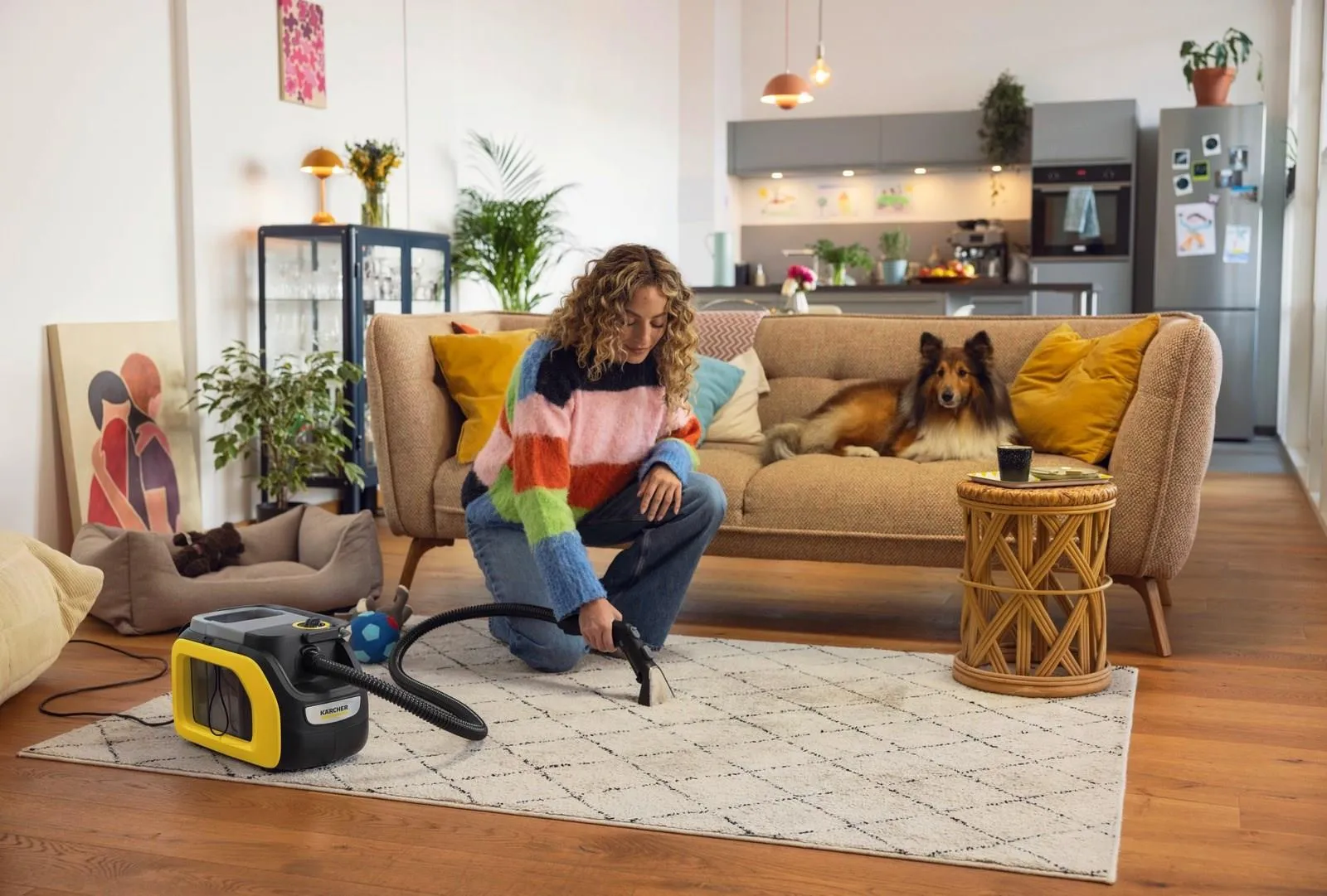 Моющий пылесос Karcher SE 3 Compact 1.081-538.0