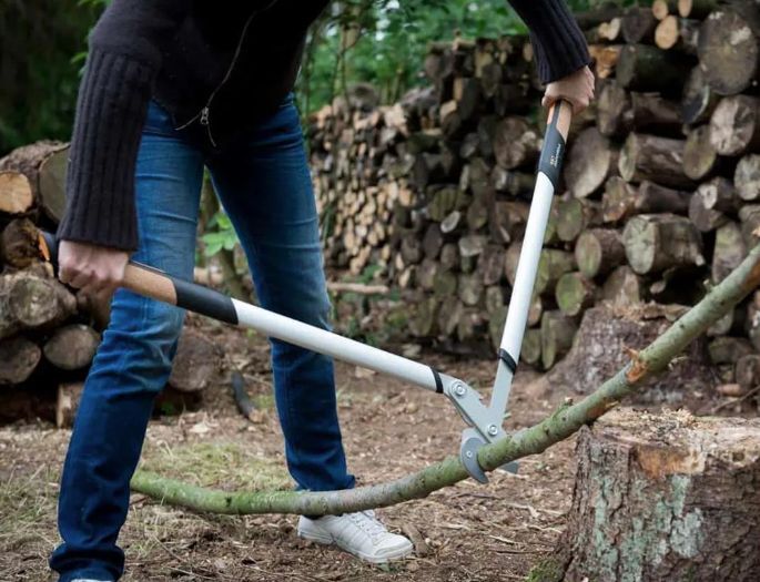 Сучкорез Fiskars 112610 Quantum L109