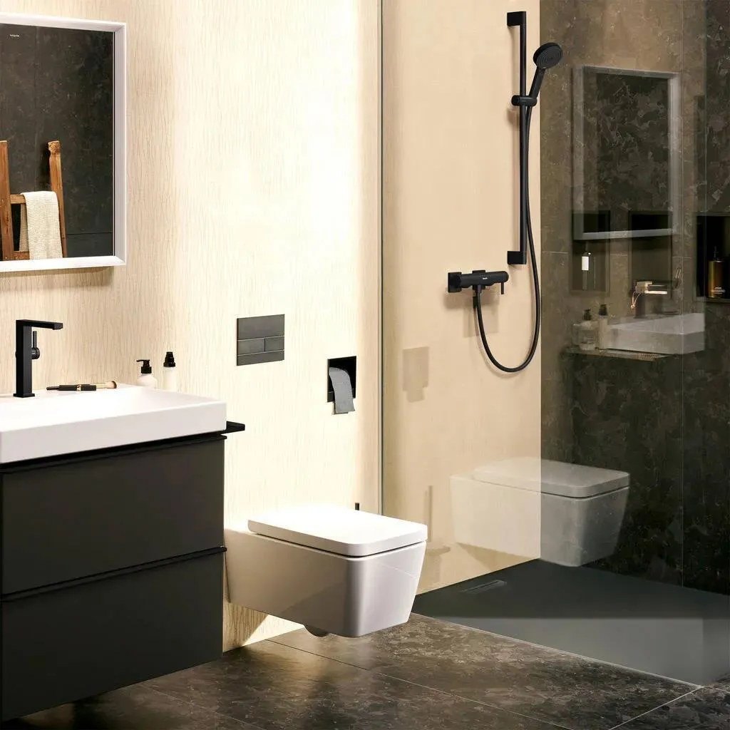 Душевая штанга/держатель Hansgrohe Pulsify, черный матовый 24401670