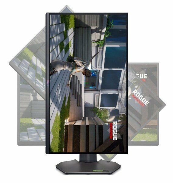 Игровой монитор Dell G2524H
