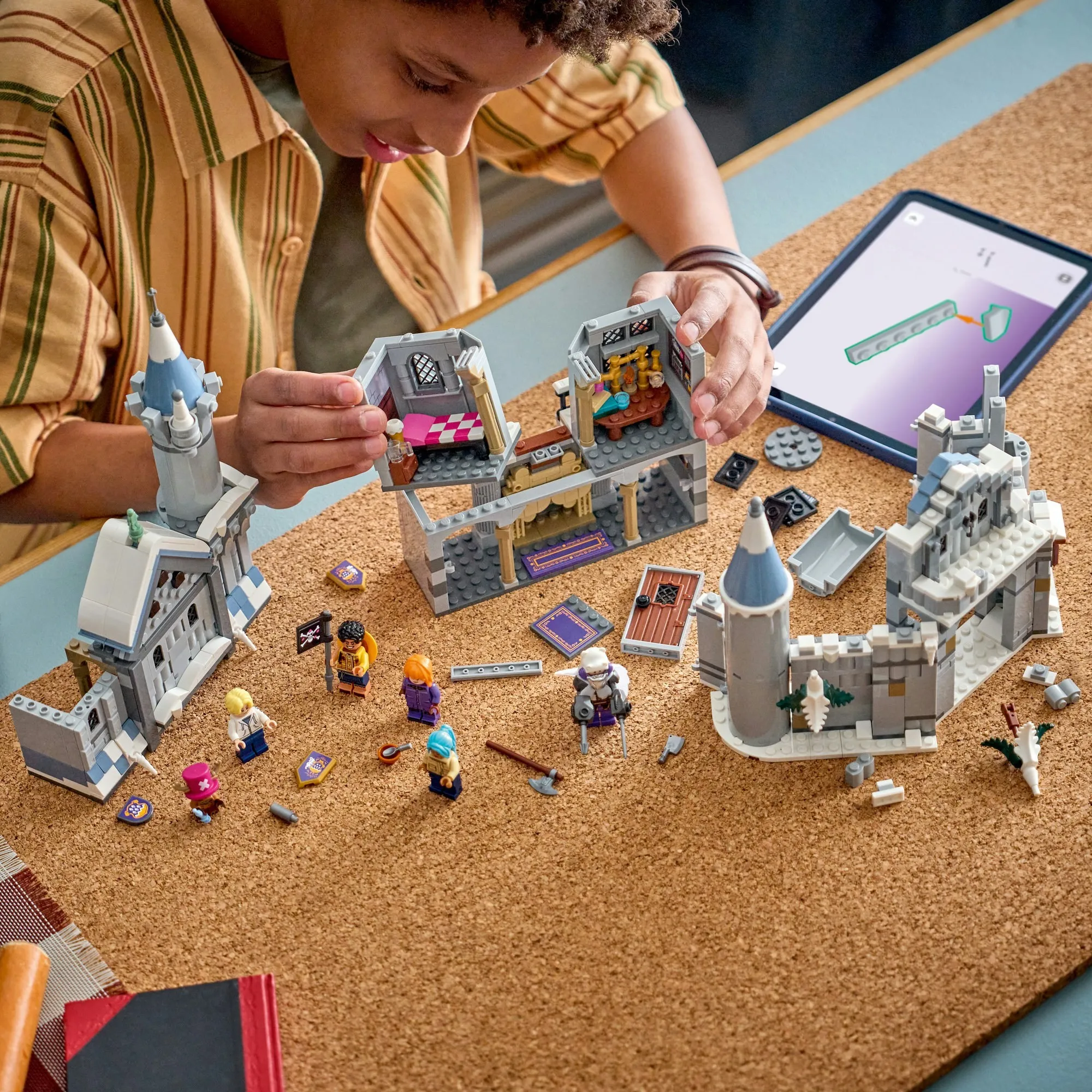 Конструктор LEGO One Piece 75645 Битва при замке Драм