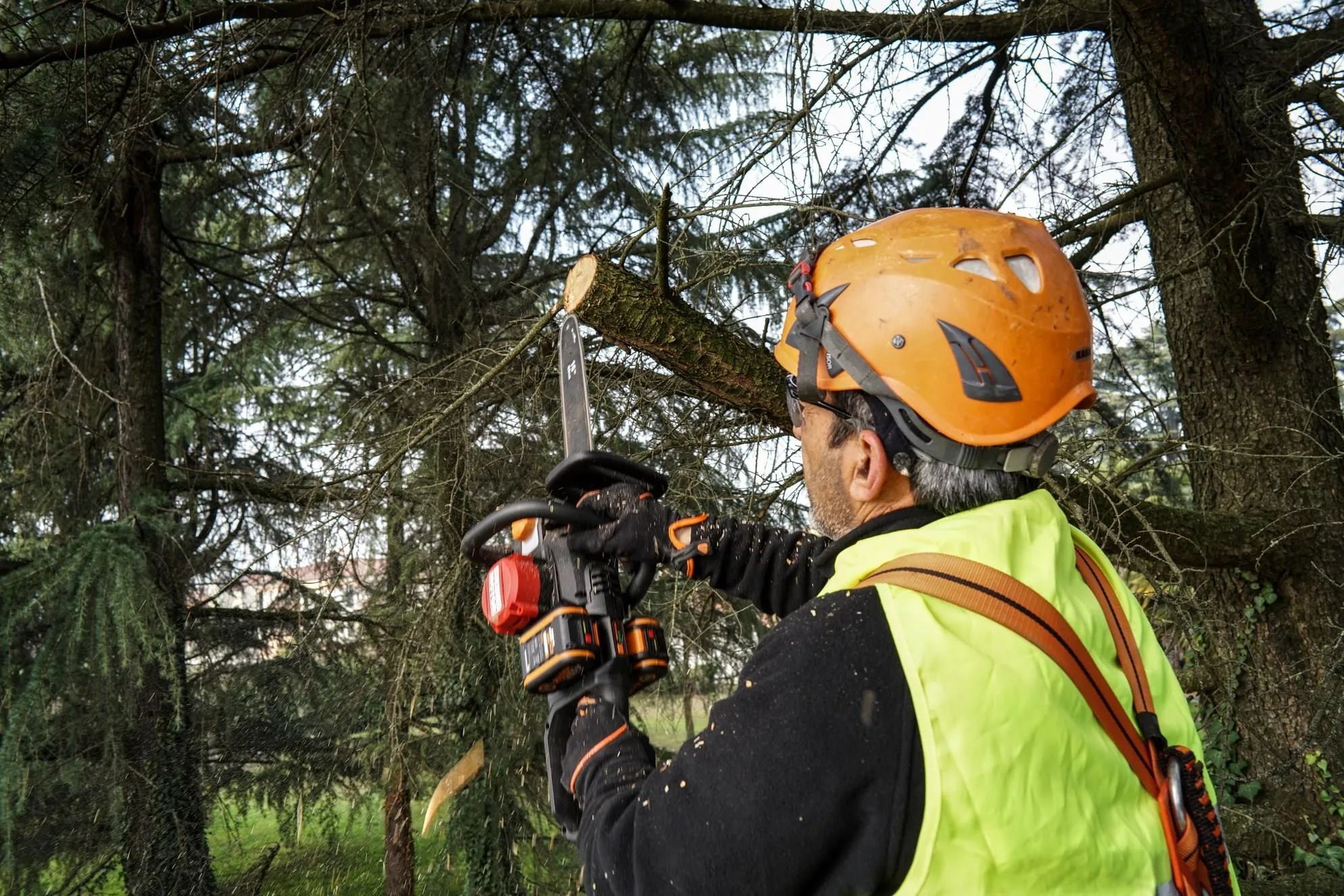 Аккумуляторная пила Worx WG385E.9