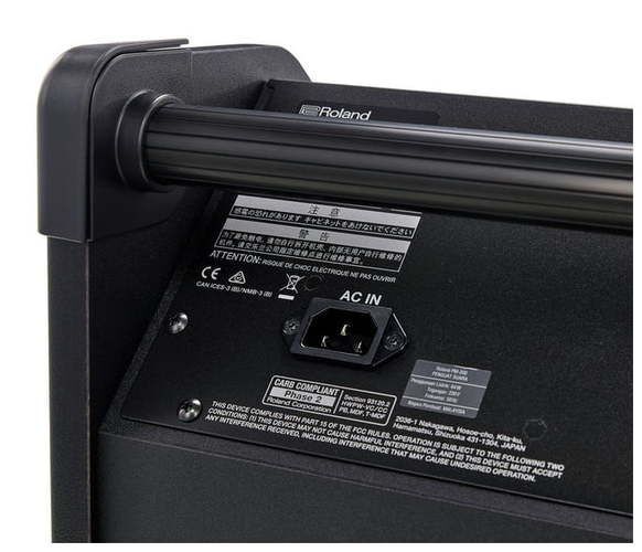 ROLAND PM-100 Сценический монитор