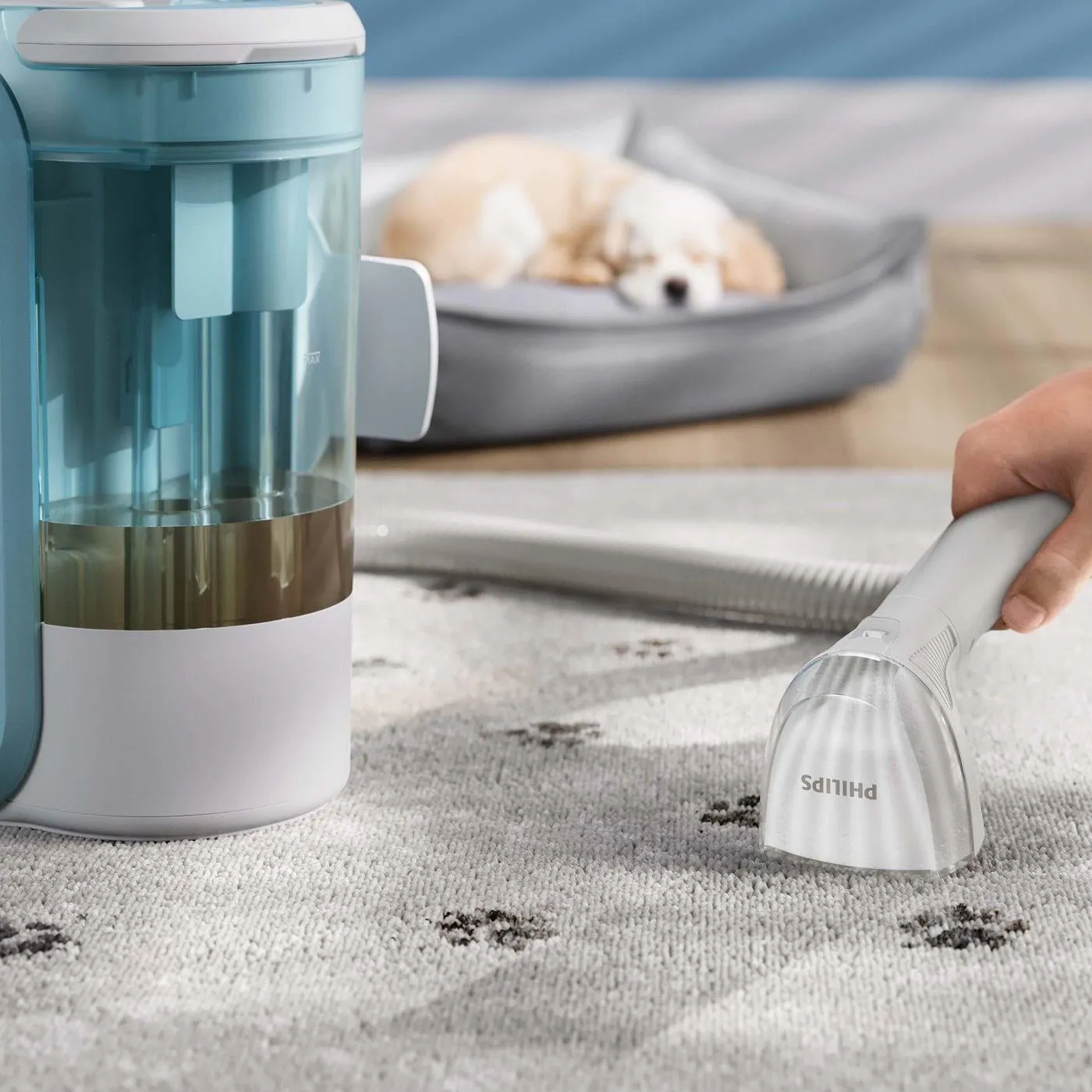 Моющий пылесос Philips SpotClean 3000 XW3192/11