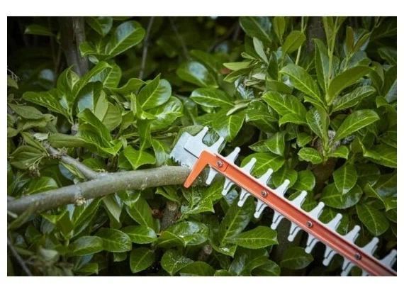Электрический садовый кусторез + ножовка (650 Вт, 60 см) BLACK+DECKER BEHTS551-QS