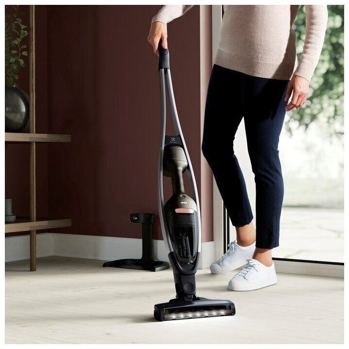 Пылесос Electrolux PQ91-50MB, бронзовый