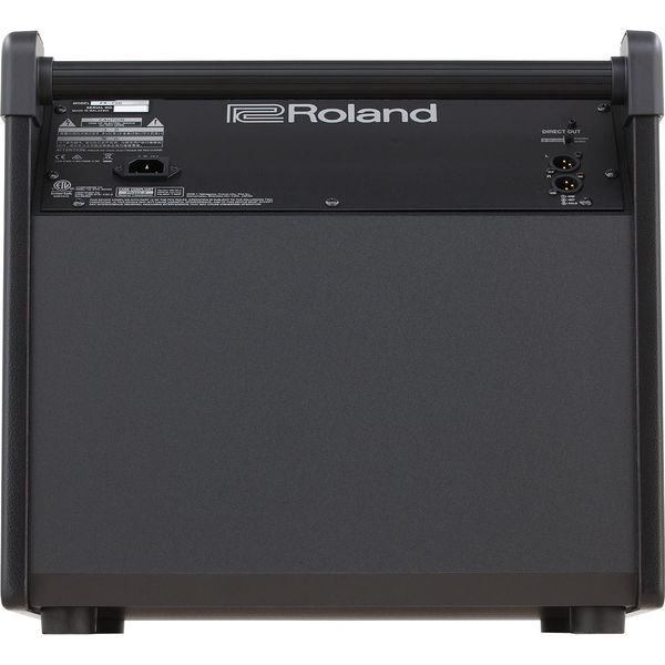 ROLAND PM-100 Сценический монитор