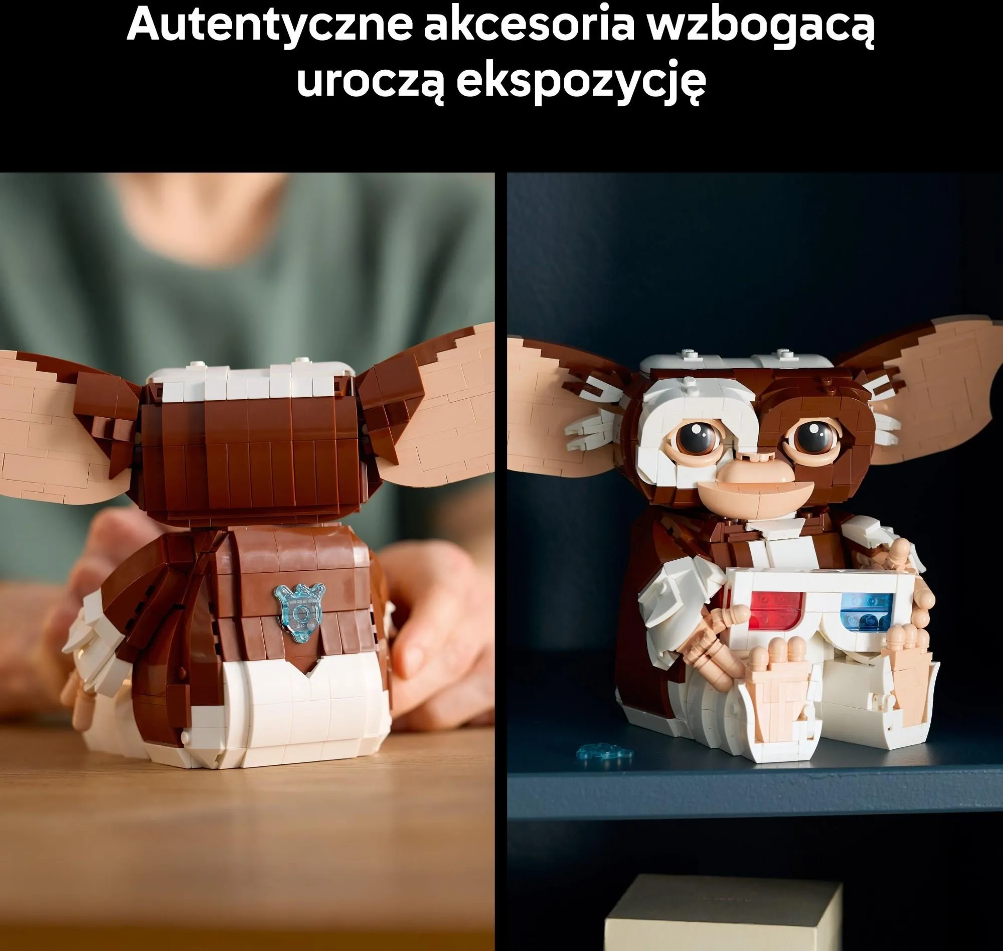 LEGO Ideas 21361