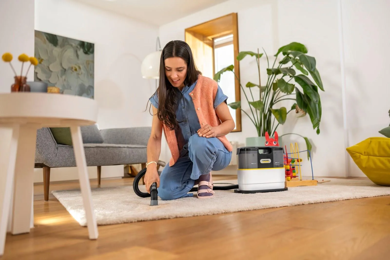 Моющий пылесос Karcher SE 2 Spot Care средство RM 519