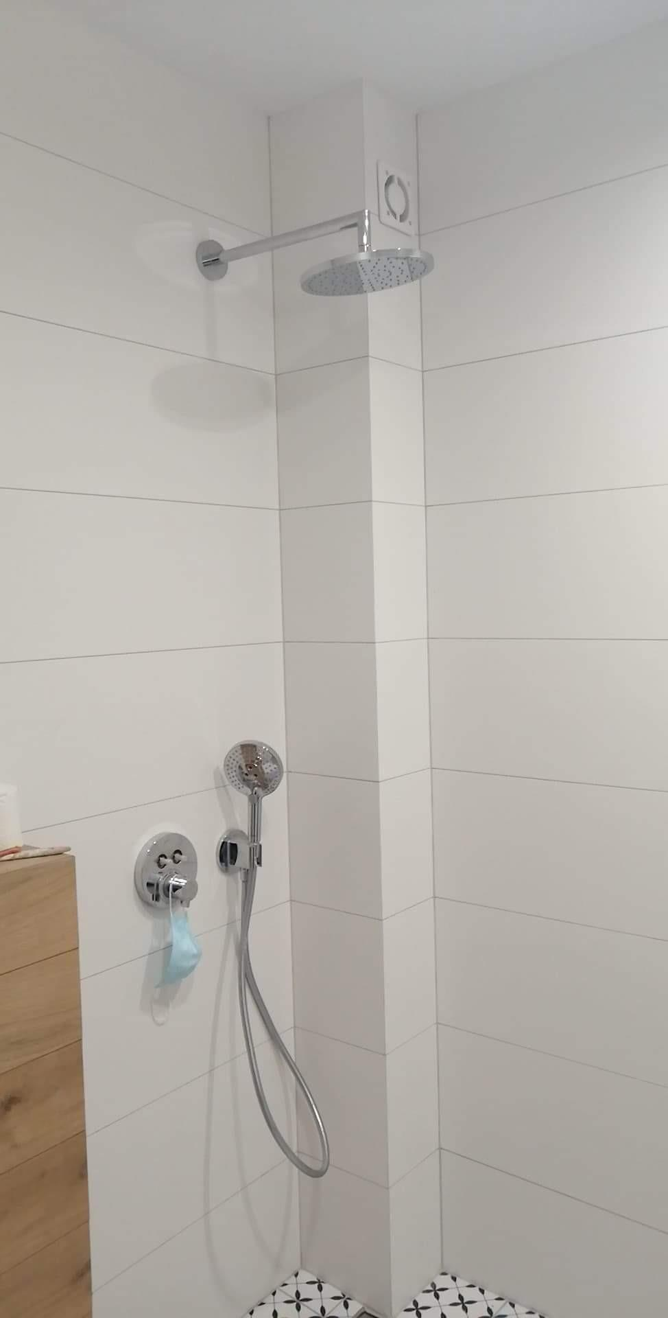 Ручной душ Hansgrohe Raindance Select S 120 3jet EcoSmart, хром 26531000