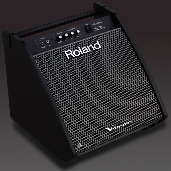 ROLAND PM-100 Сценический монитор