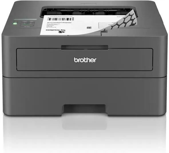 Монохромный лазерный принтер Brother HL-L2400DW