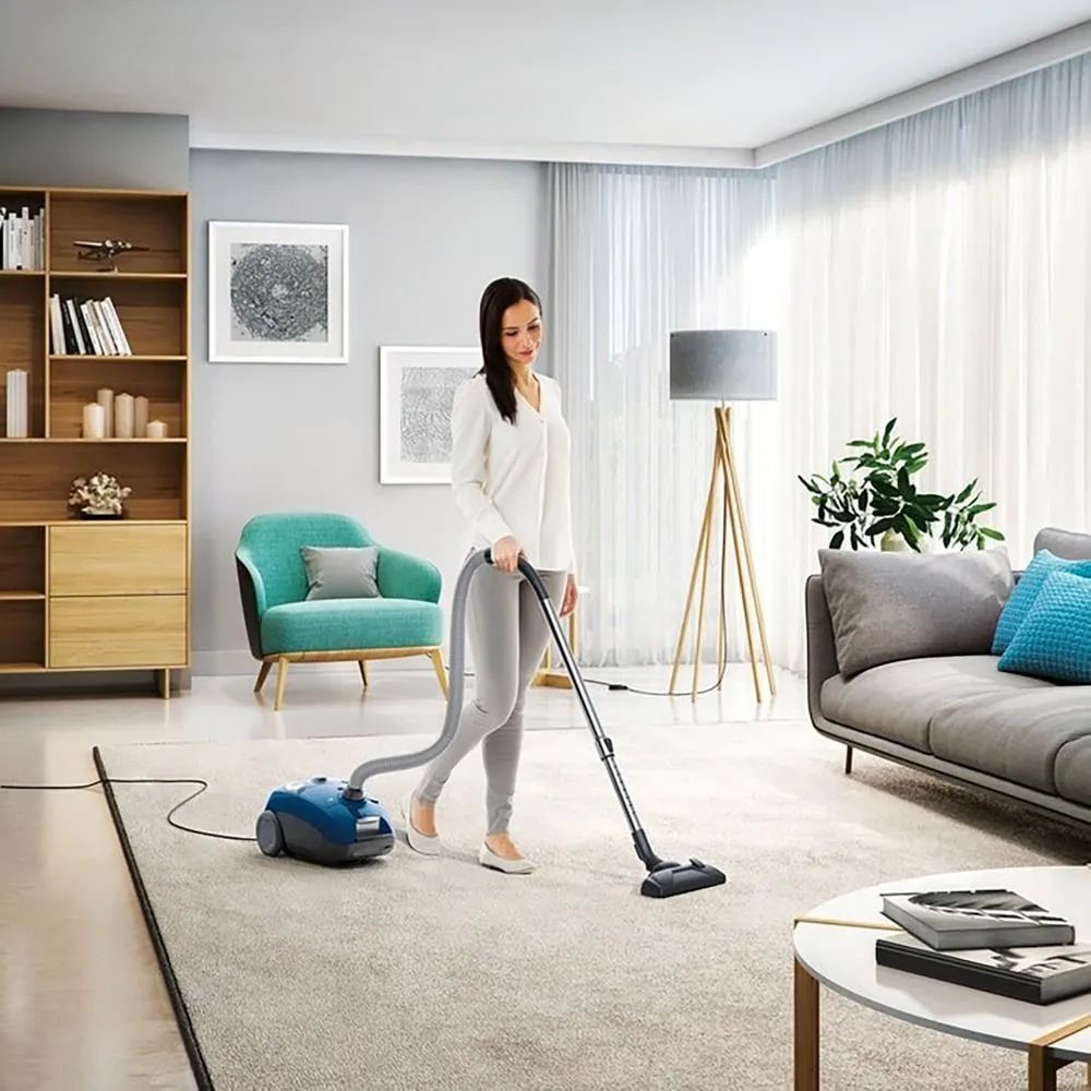 Пылесос Electrolux EEG41CB