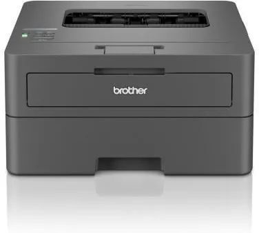 Монохромный лазерный принтер Brother HL-L2400DWE