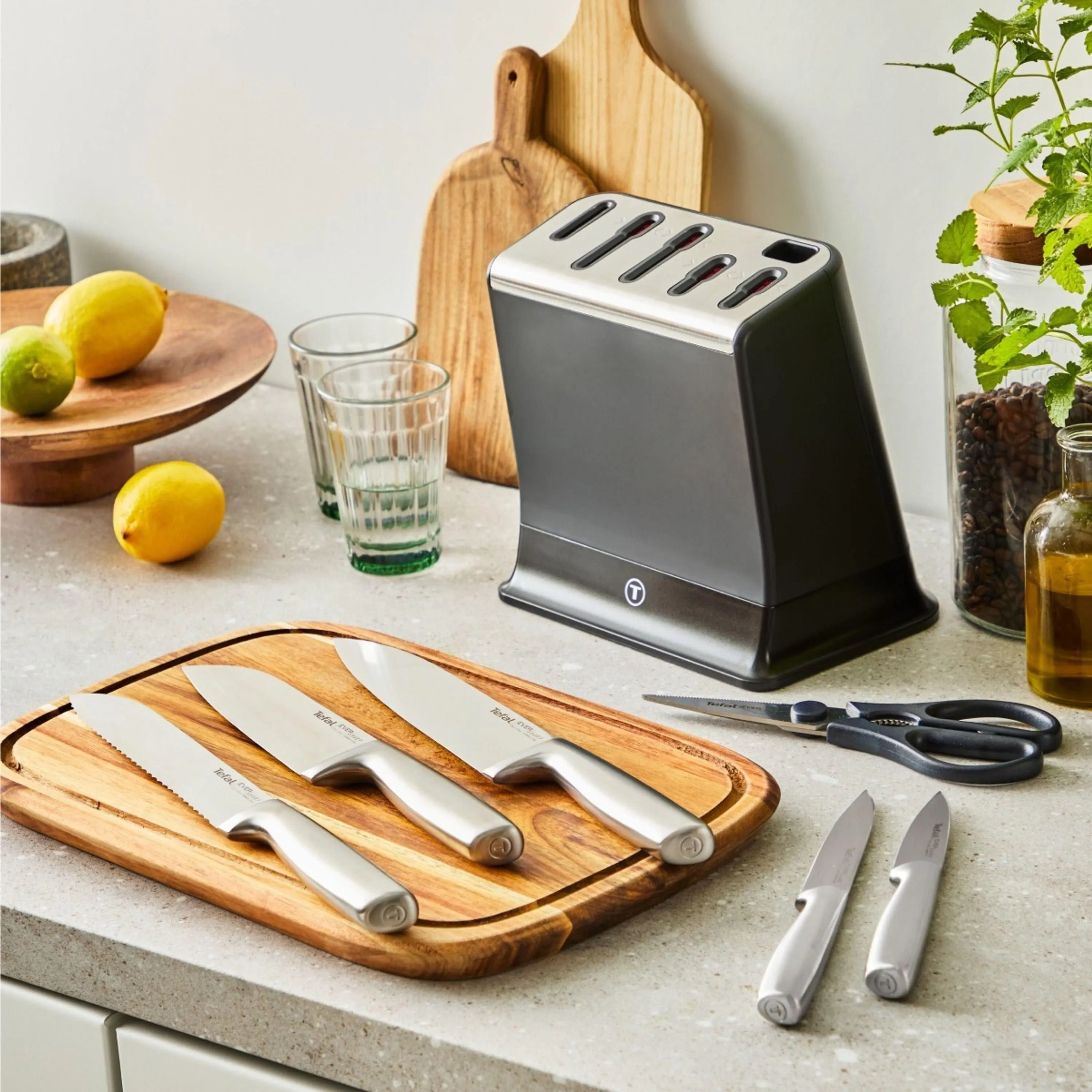 Набор из 5 ножей в блоке Tefal Ever Sharp K2977S44
