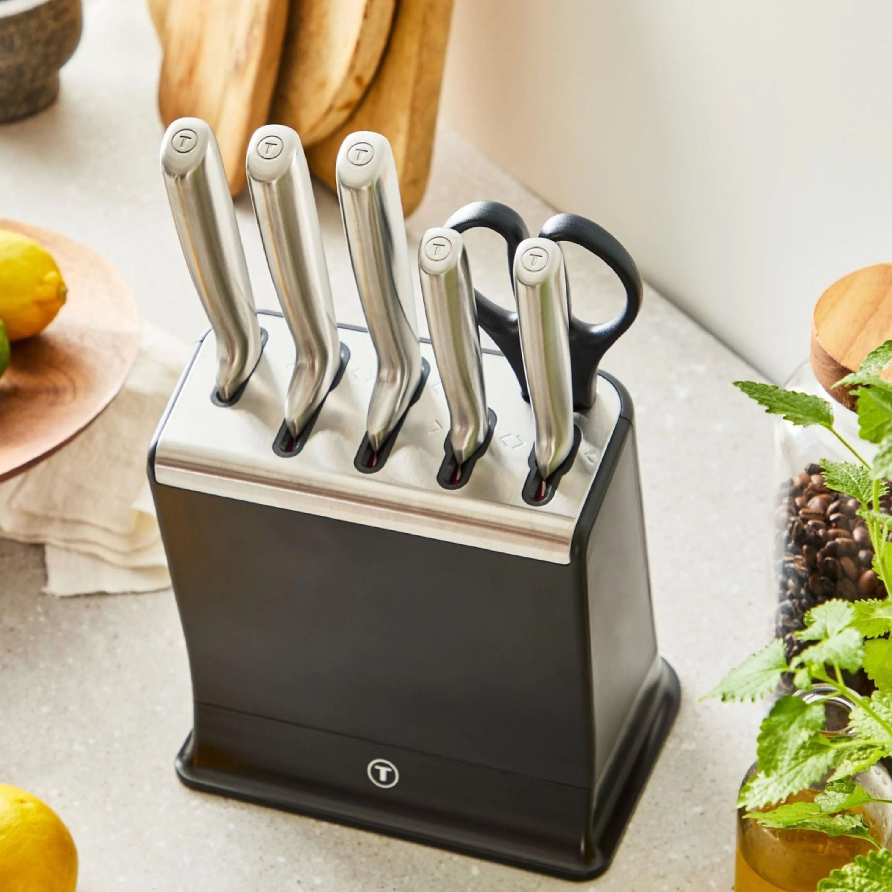 Набор из 5 ножей в блоке Tefal Ever Sharp K2977S44