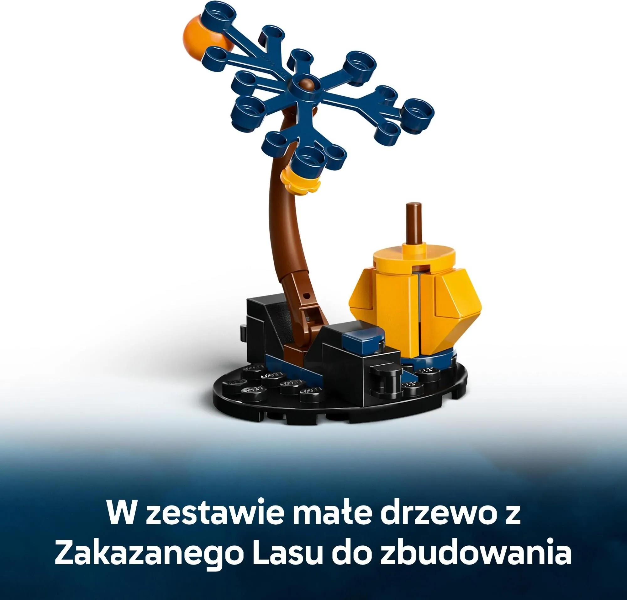 Конструктор LEGO Harry Potter 76458 Испытание на Родзине