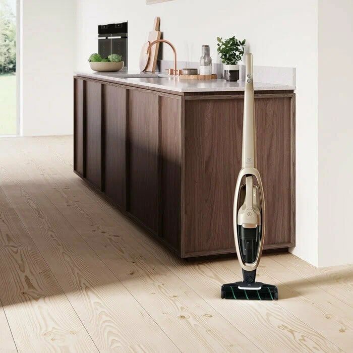 Беспроводной пылесос Electrolux WQ71-P52SS