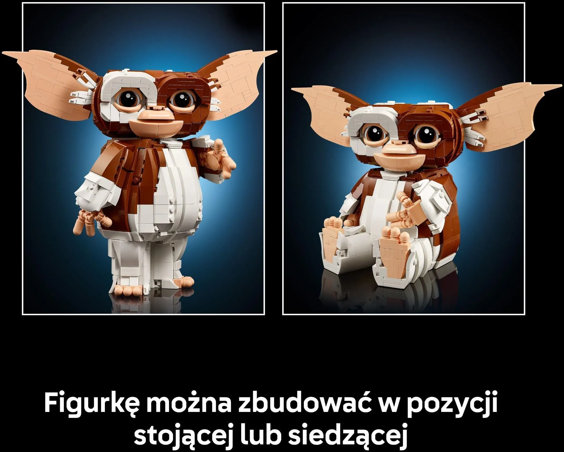 LEGO Ideas 21361